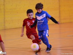 mini-2016-01-30-DSC_4530